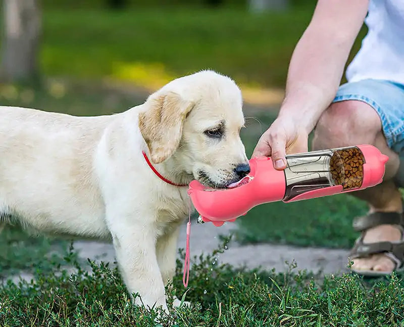 All-in-one Pet Feeder